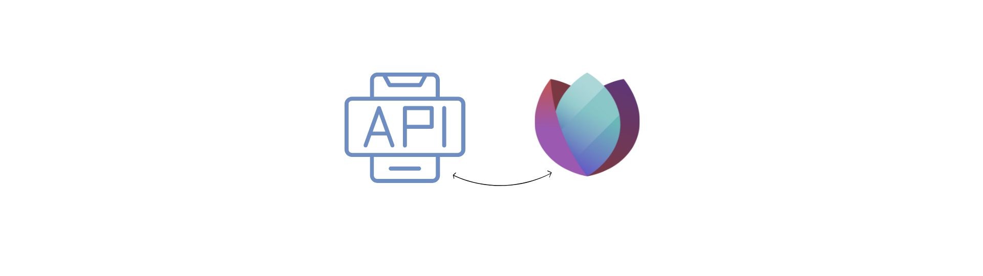 Try the Seedr API Playground (Early Access!)